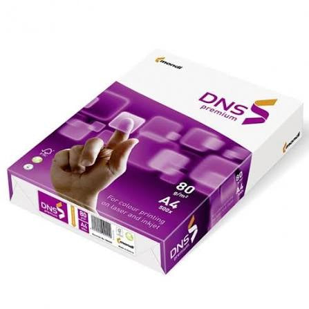 Картон DNS Premium A4 250 л. 160 g/m2